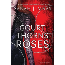 A Court of Thorns and Roses by Sarah J. Maas | A magical land |The lethal immortal faeries